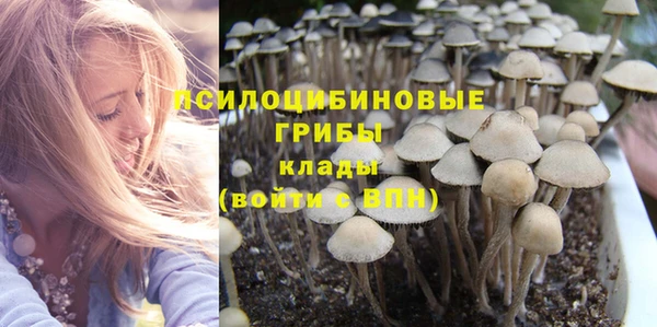каннабис Гусиноозёрск